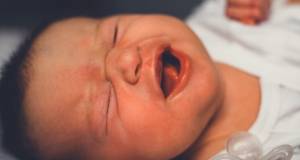 Julie ROUX - JULIE ROUX PHOTOGRAPHE