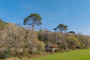 Philippe LATOUR - PHILIPPE LATOUR